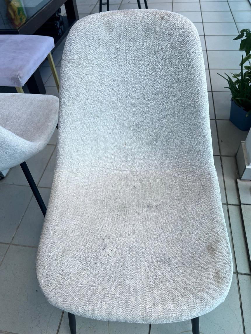 Before: carpet in need of a deep clean